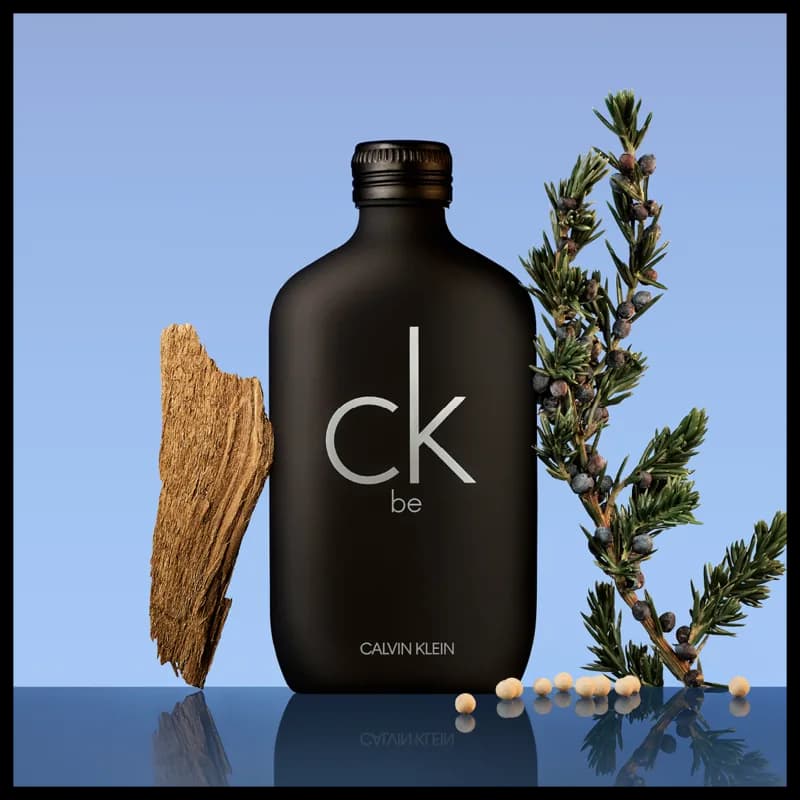 Perfume UNISSEX Calvin Klein CK Be Eau de Toilette 100 ml